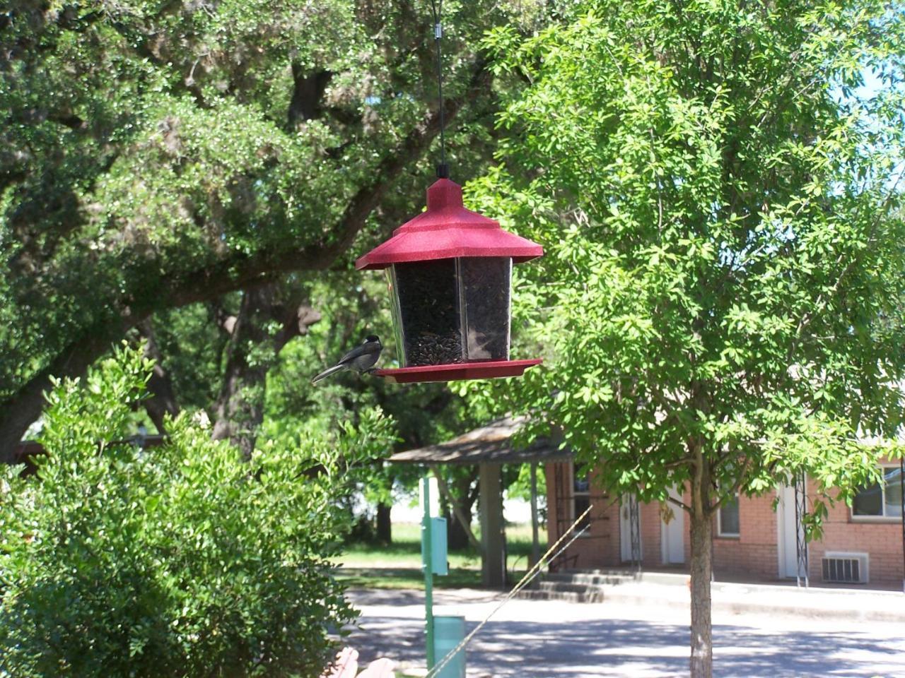 Blanco County Inn & Guesthouses Exteriör bild